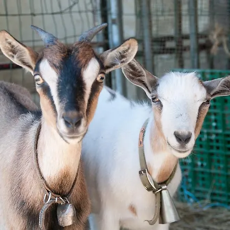 Cascina La Romana * 多利亚尼