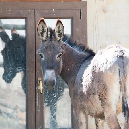 Cascina La Romana Séjour à la ferme Dogliani